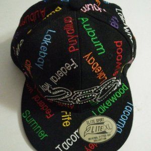 Washington City Tacoma, Lakewood, Puyallup, Kent